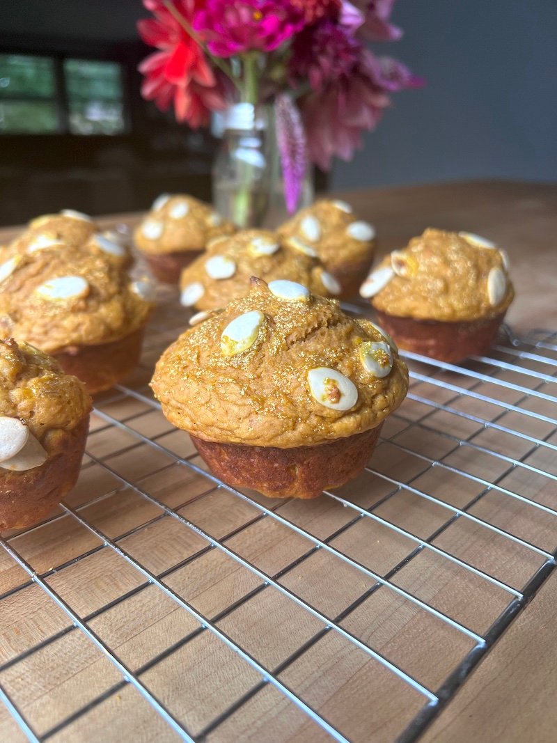 Pumpkin Muffins with Protein Powder