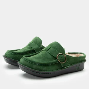 these are alegria winter clogs