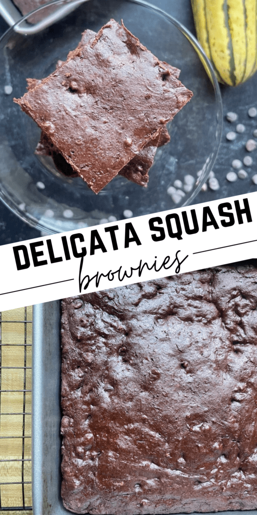 You may have heard of zucchini brownies but what about delicata squash brownies? This brownie recipe has a super dark chocolately taste that's not overly sweet, and it's a great way to sneak veggies into your diet. A perfect Weight Watchers dessert that is only 4 points on each Weight Watchers plan and 140 calories. #brownies #ww #weightwatchers