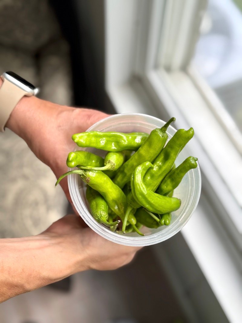 shashito peppers that are zero weight watchers points