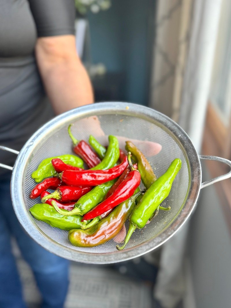 red and green shishito peppers that are zero weight watchers points